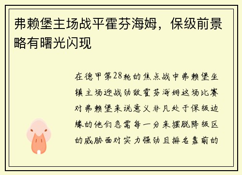 弗赖堡主场战平霍芬海姆，保级前景略有曙光闪现